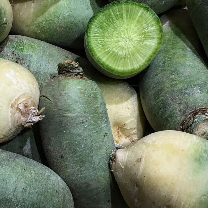 Green meat radish