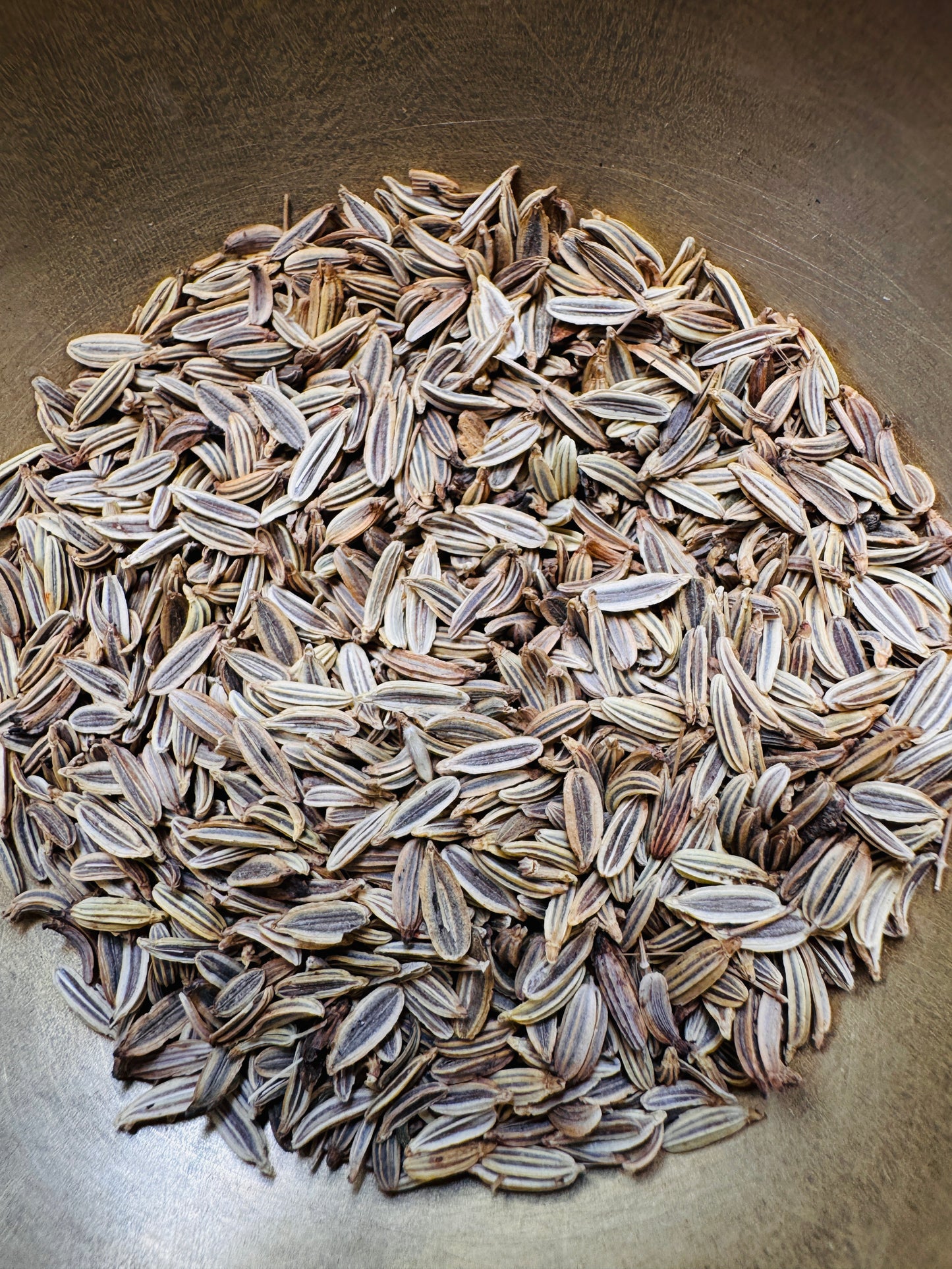 Florence Fennel seeds