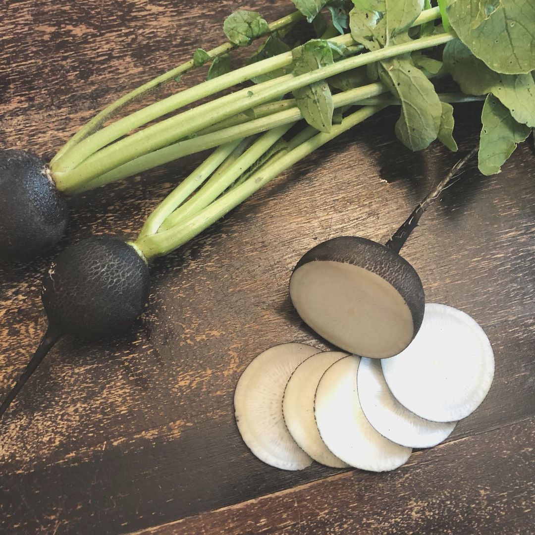 Black radish
