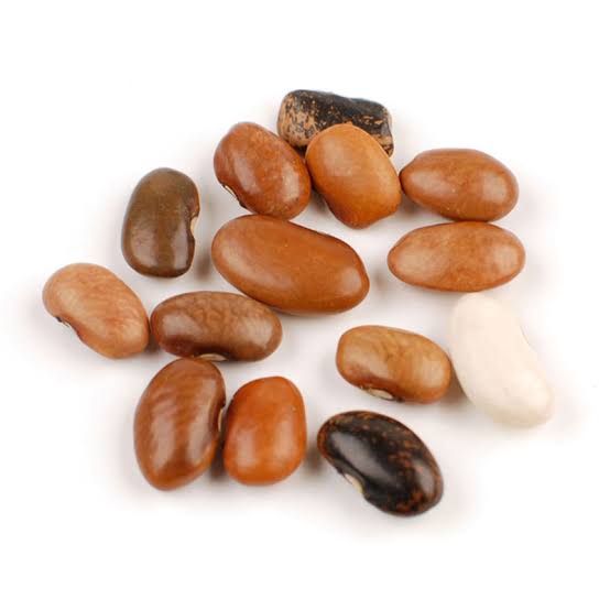 Pebble stone bean