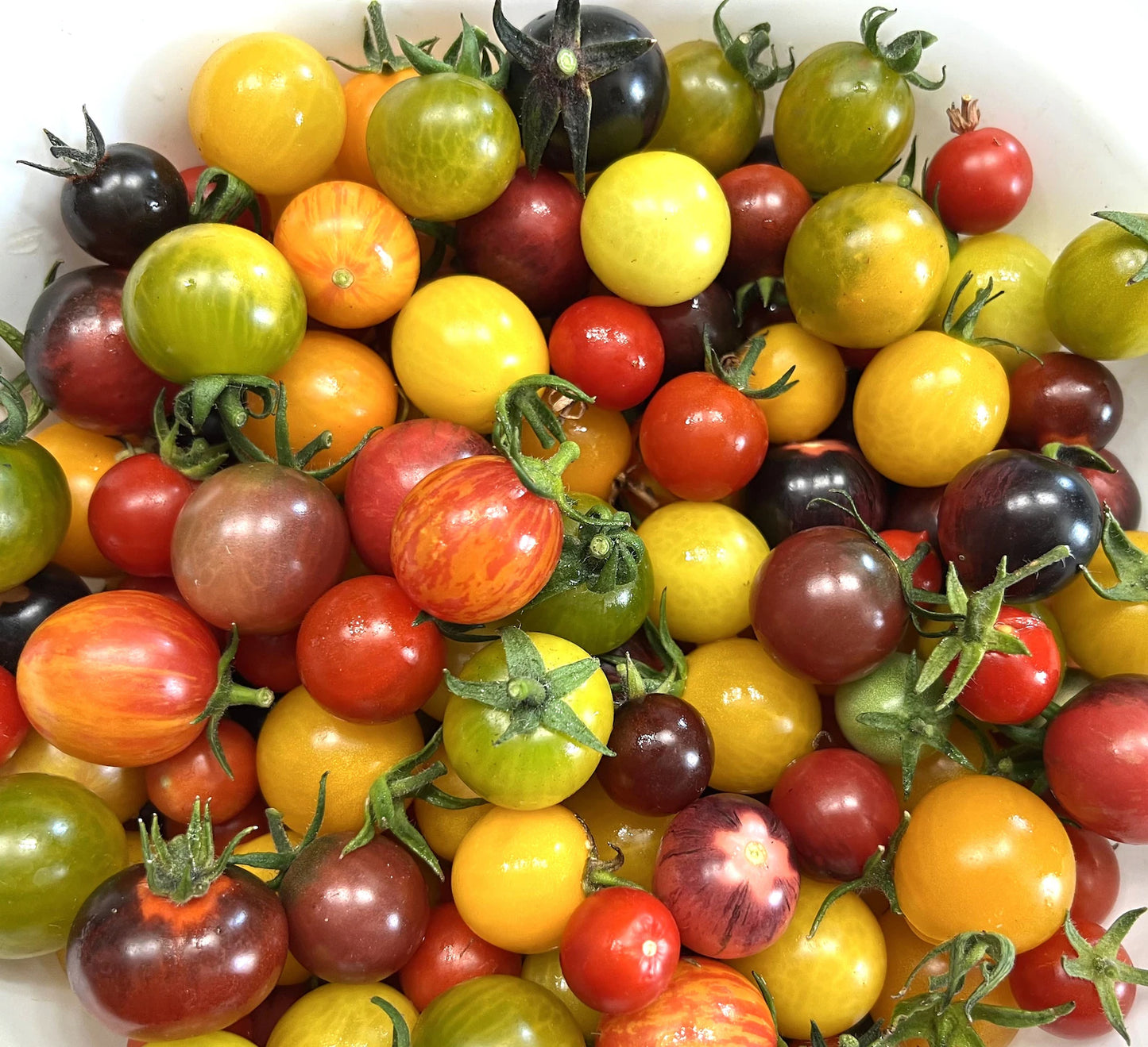 Heirloom cherry tomato mix seeds
