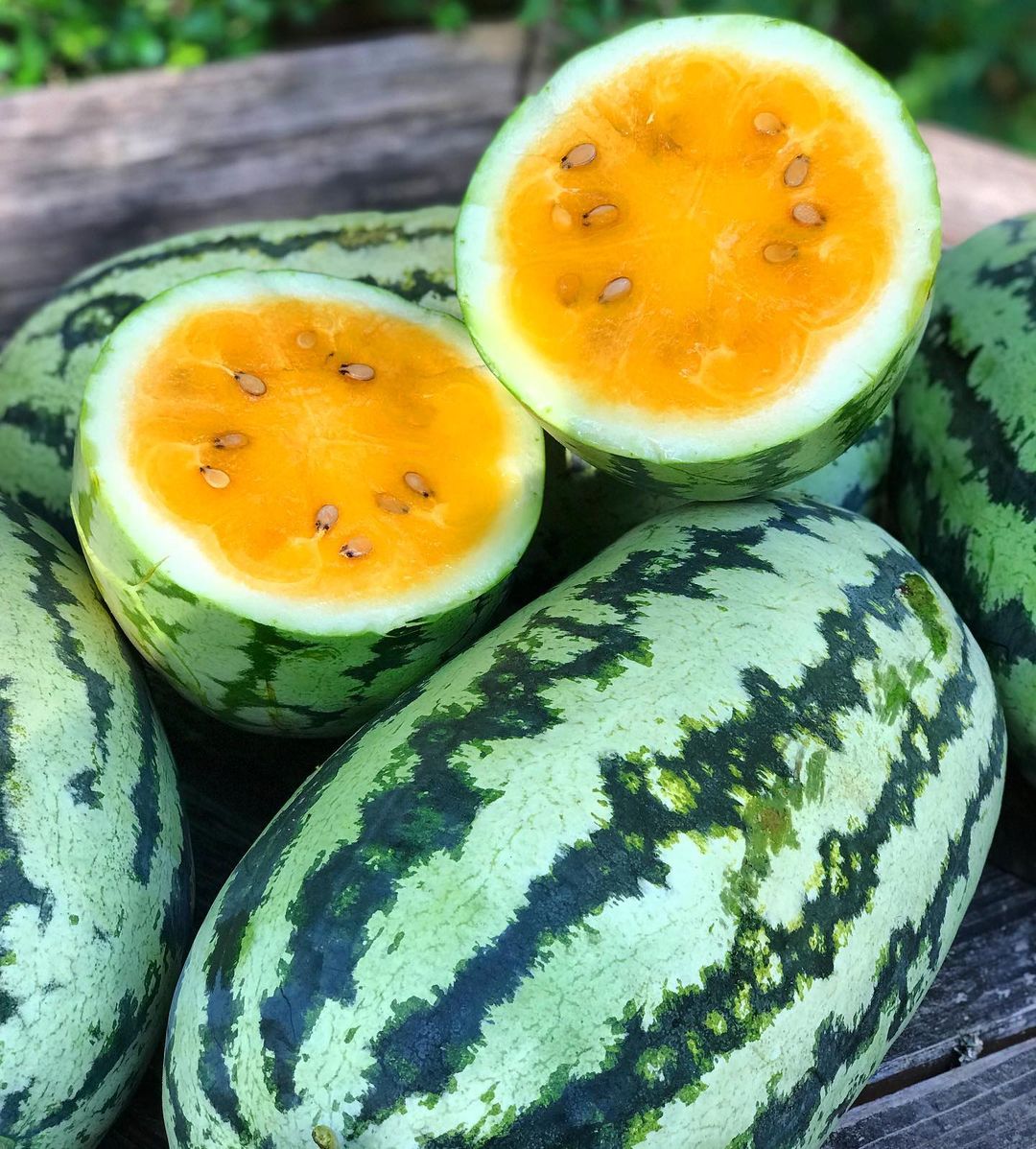 Orange watermelon