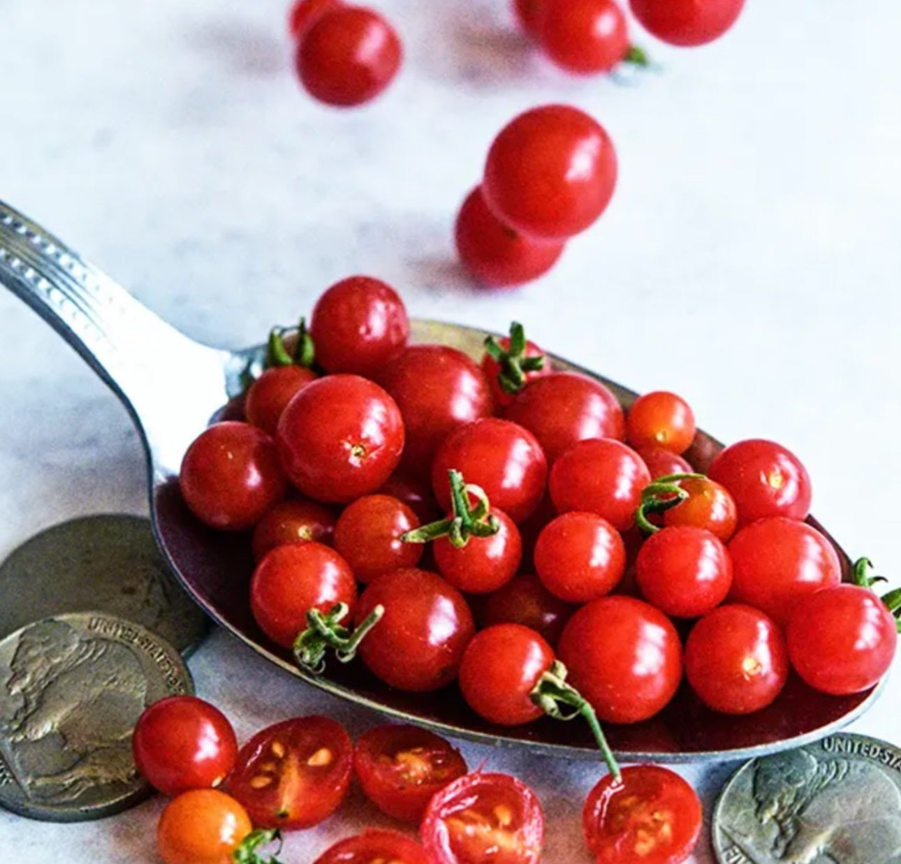 Cherry spoon tomato seeds