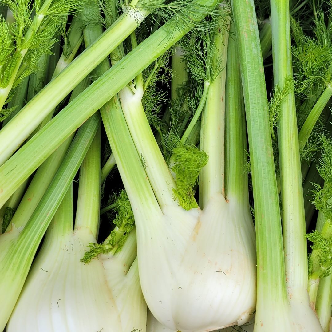 Fennel seeds