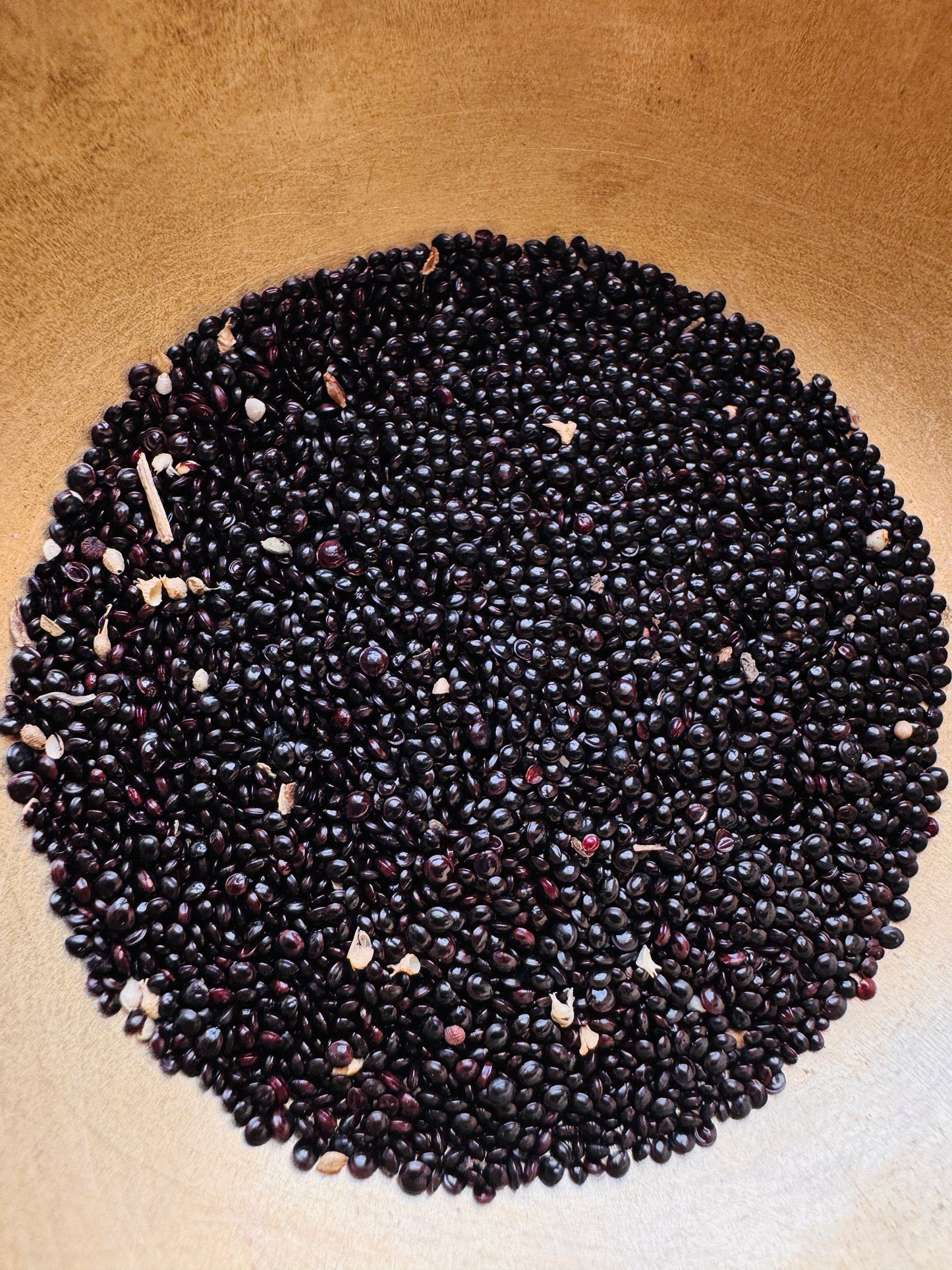 Red amaranth