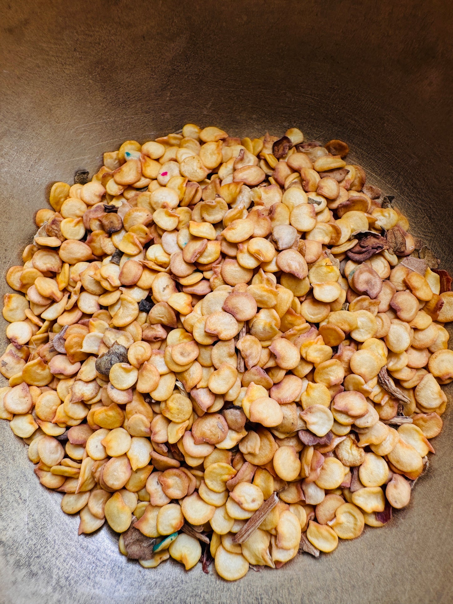 Green chilli spicy seeds