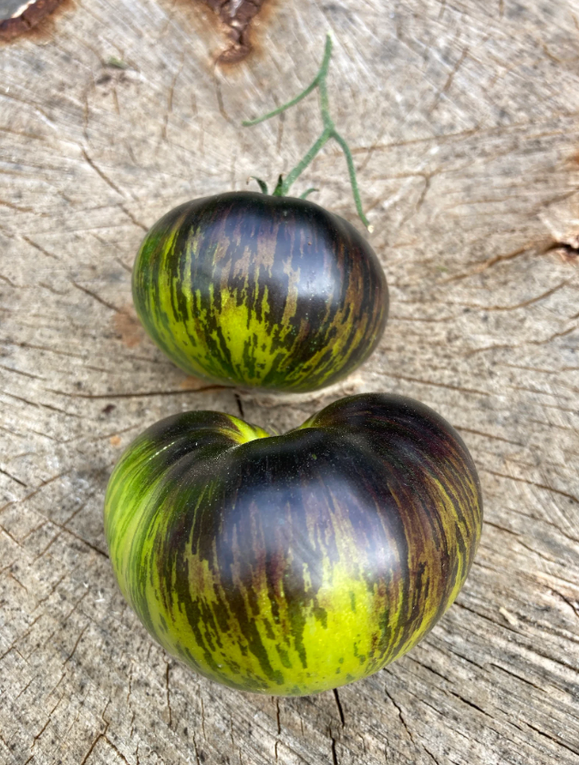 Xanadu Green Goddess Tomato