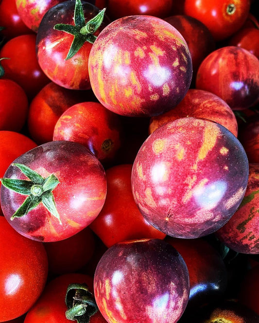 The Mighty Cherry Tomato: A Tiny Treat with Big Flavor