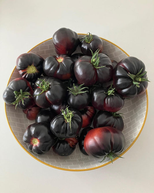 The Enchanting Black Beauty: A Guide to Growing Black Beauty Tomato Seeds