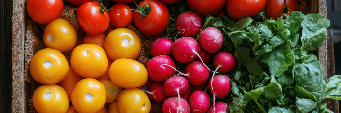 The Sun-Kissed Harvest: Your Complete Guide to the Best Summer Vegetables