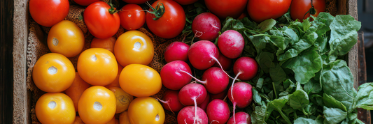 The Sun-Kissed Harvest: Your Complete Guide to the Best Summer Vegetables