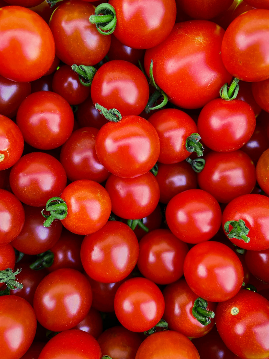 How to create a terrace garden\ food forest in your home