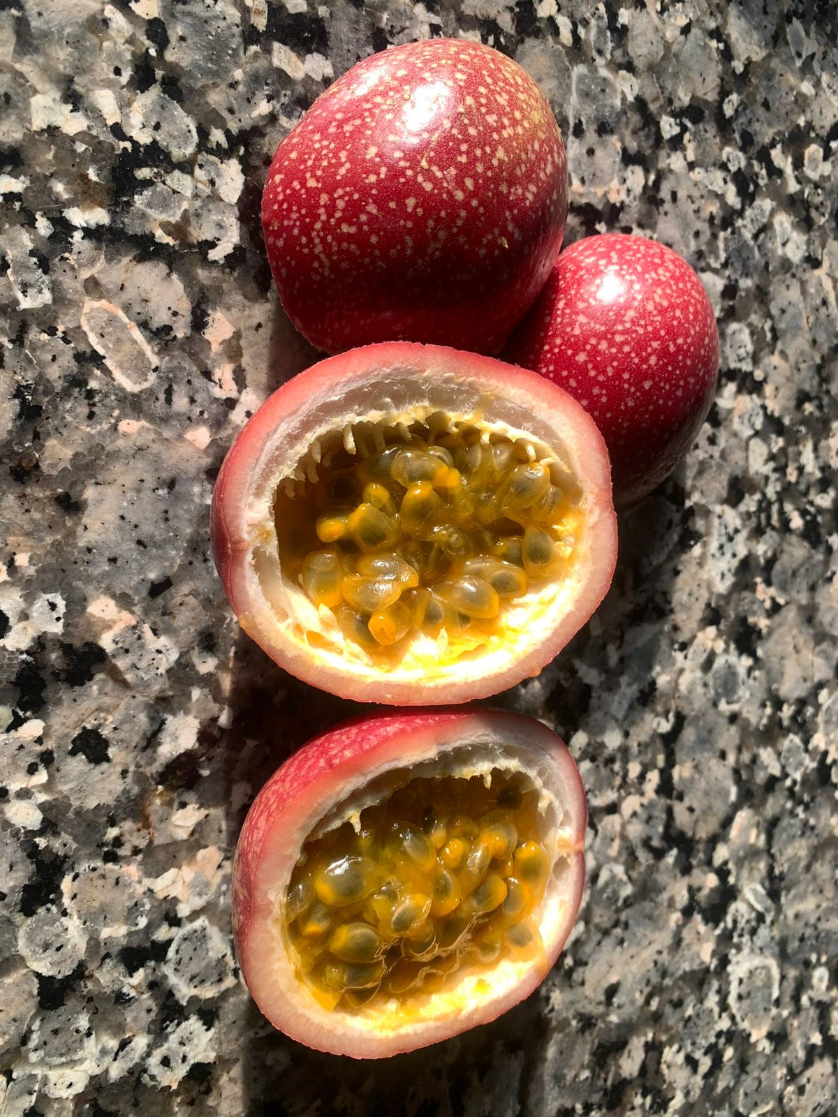 Heirloom fruit seeds