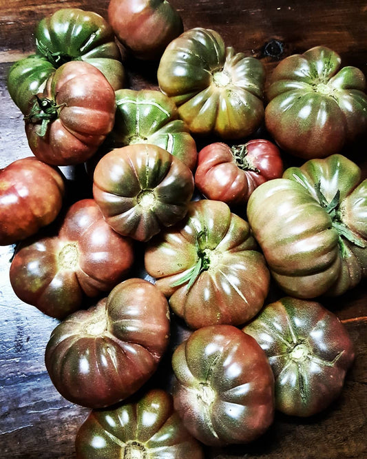 Purple calabash tomato