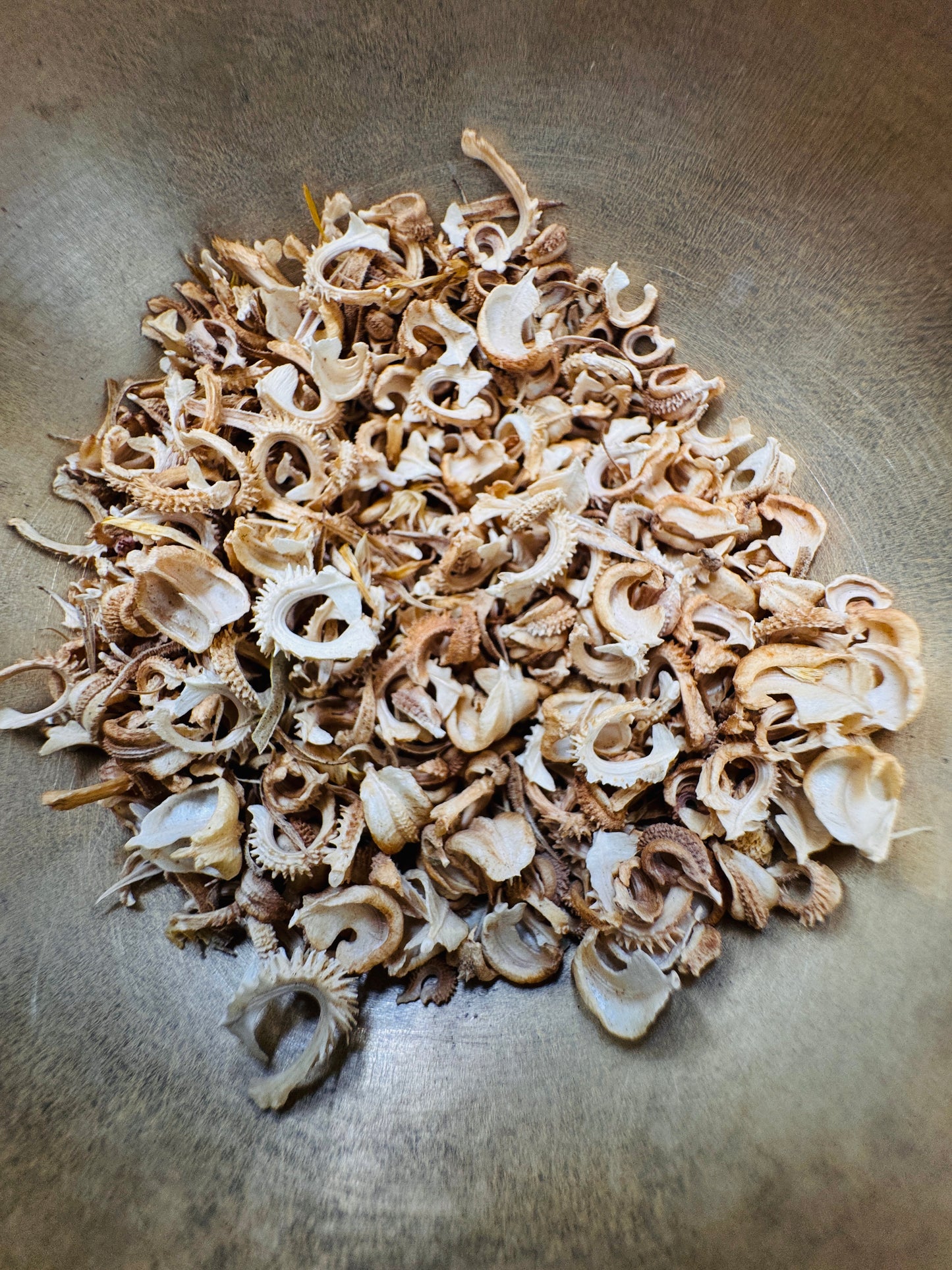 Resina calendula seeds