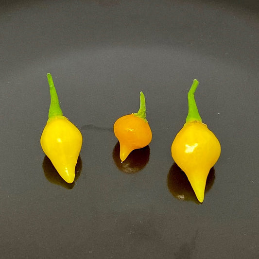 Biquinho amarillo pepper