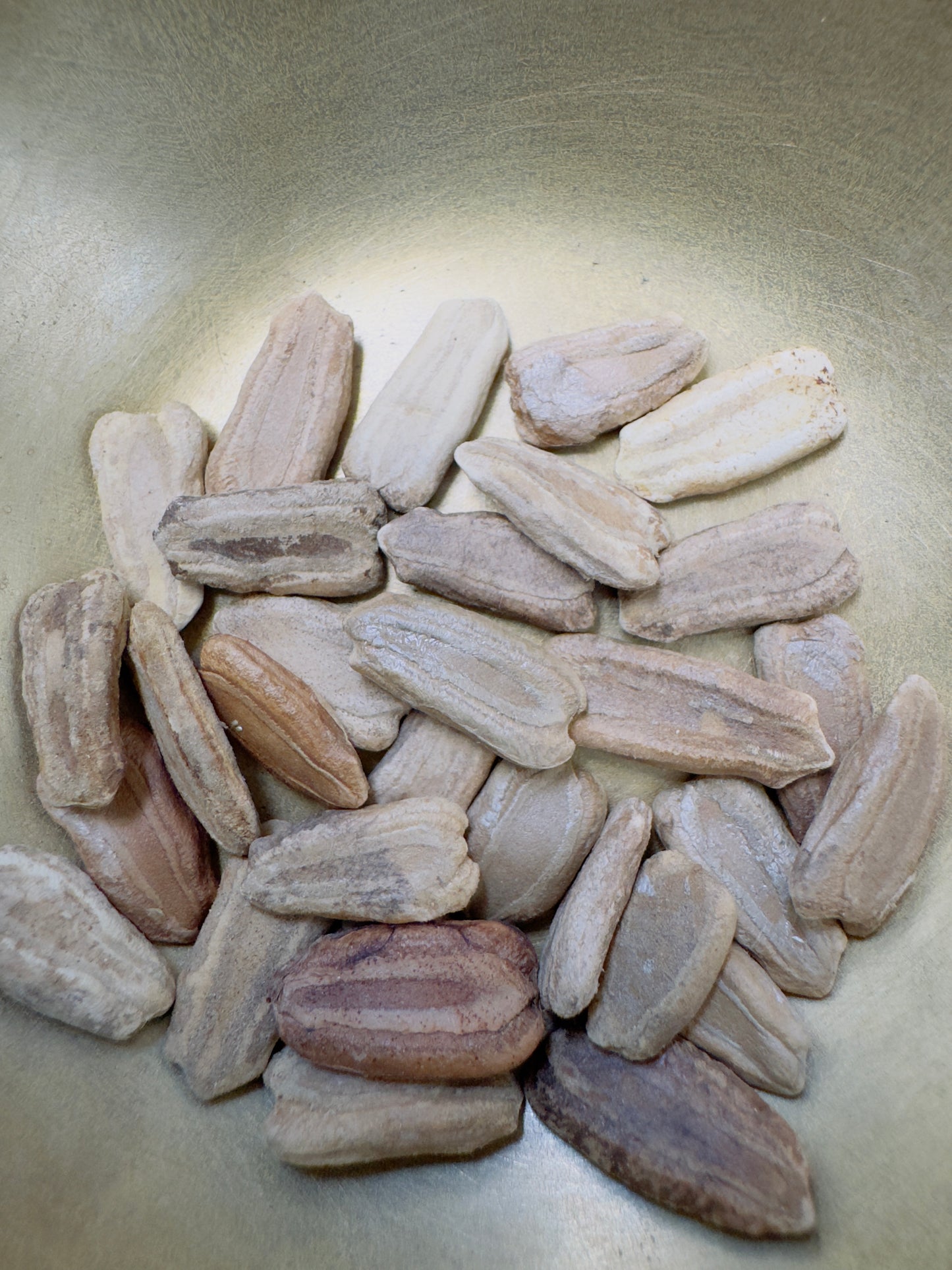 Round bottle gourd seeds