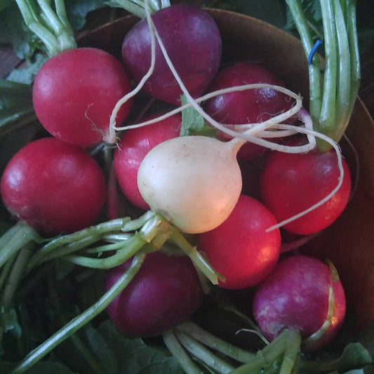 Radish confetti