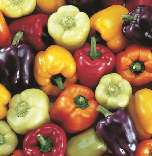 Rainbow bell pepper mix