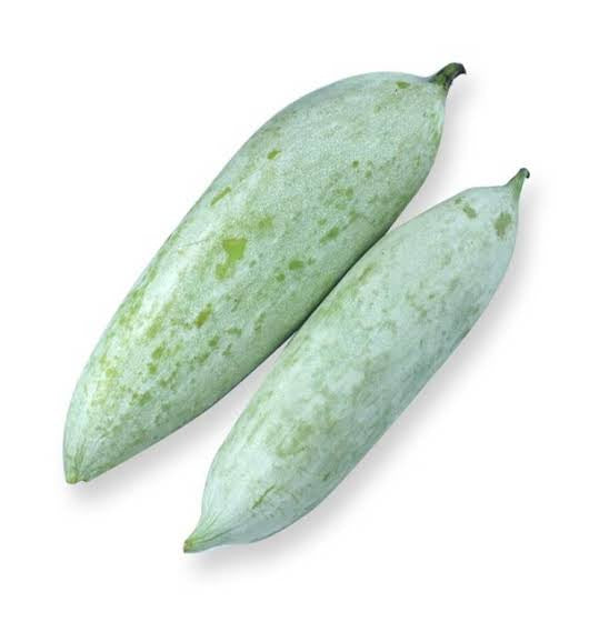 Short snake gourd