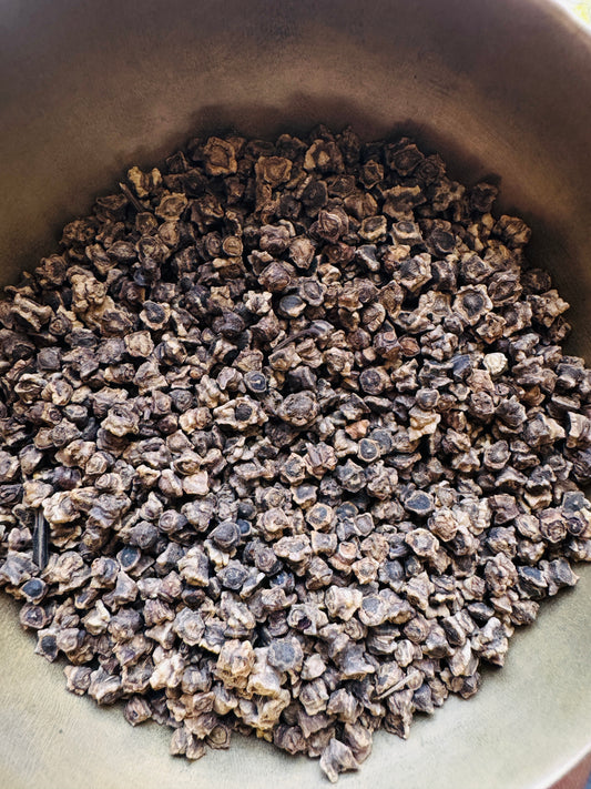 Beetroot dark red seeds