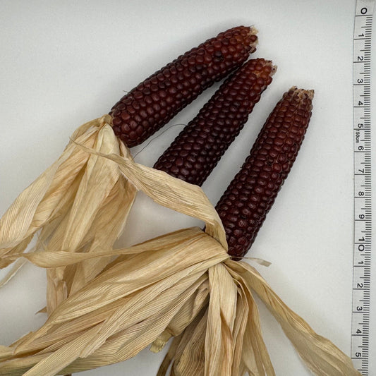 Chires baby corn