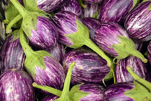 Purple striped brinjal