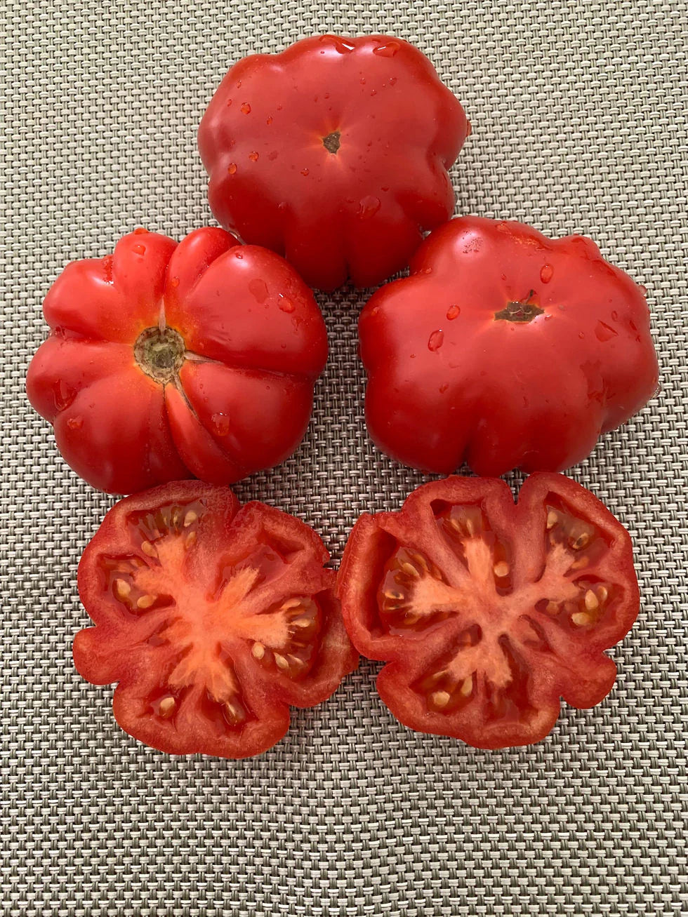 Trefle du togo tomato seeds