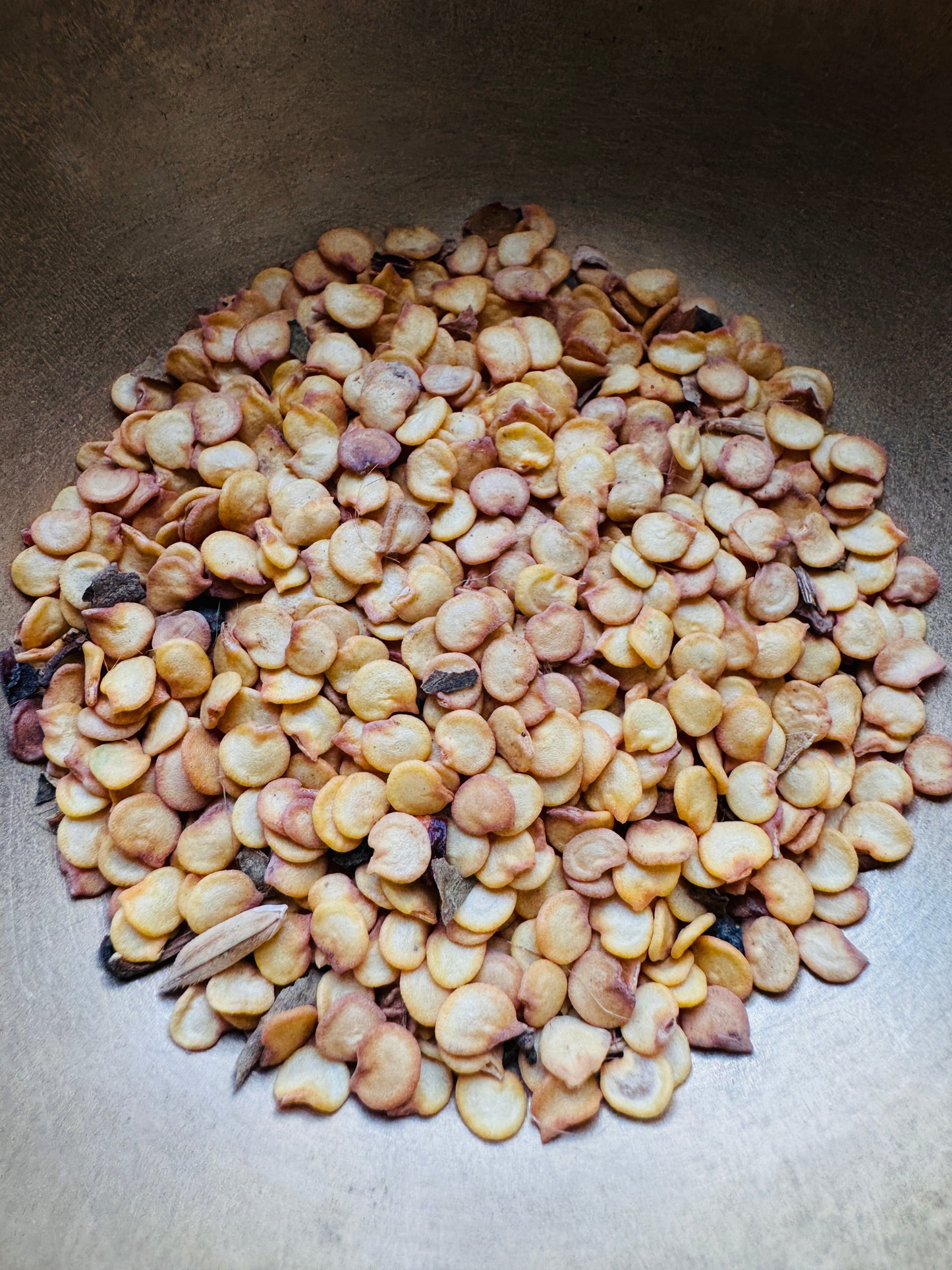 Green chilli long seeds