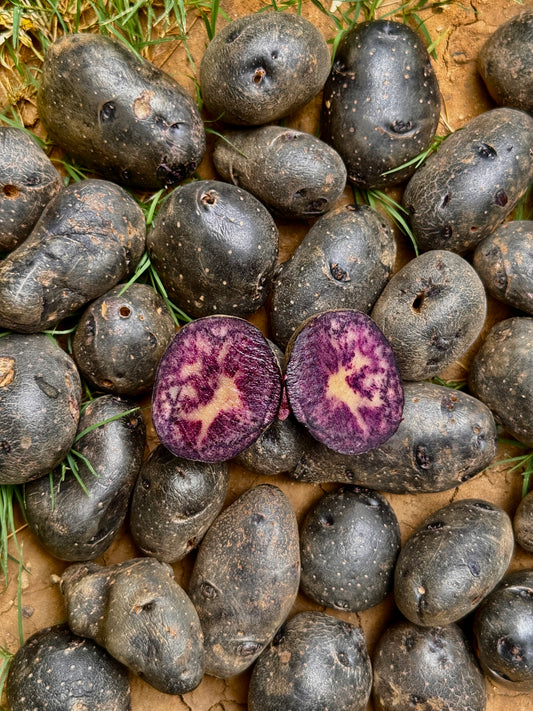 Blue potato
